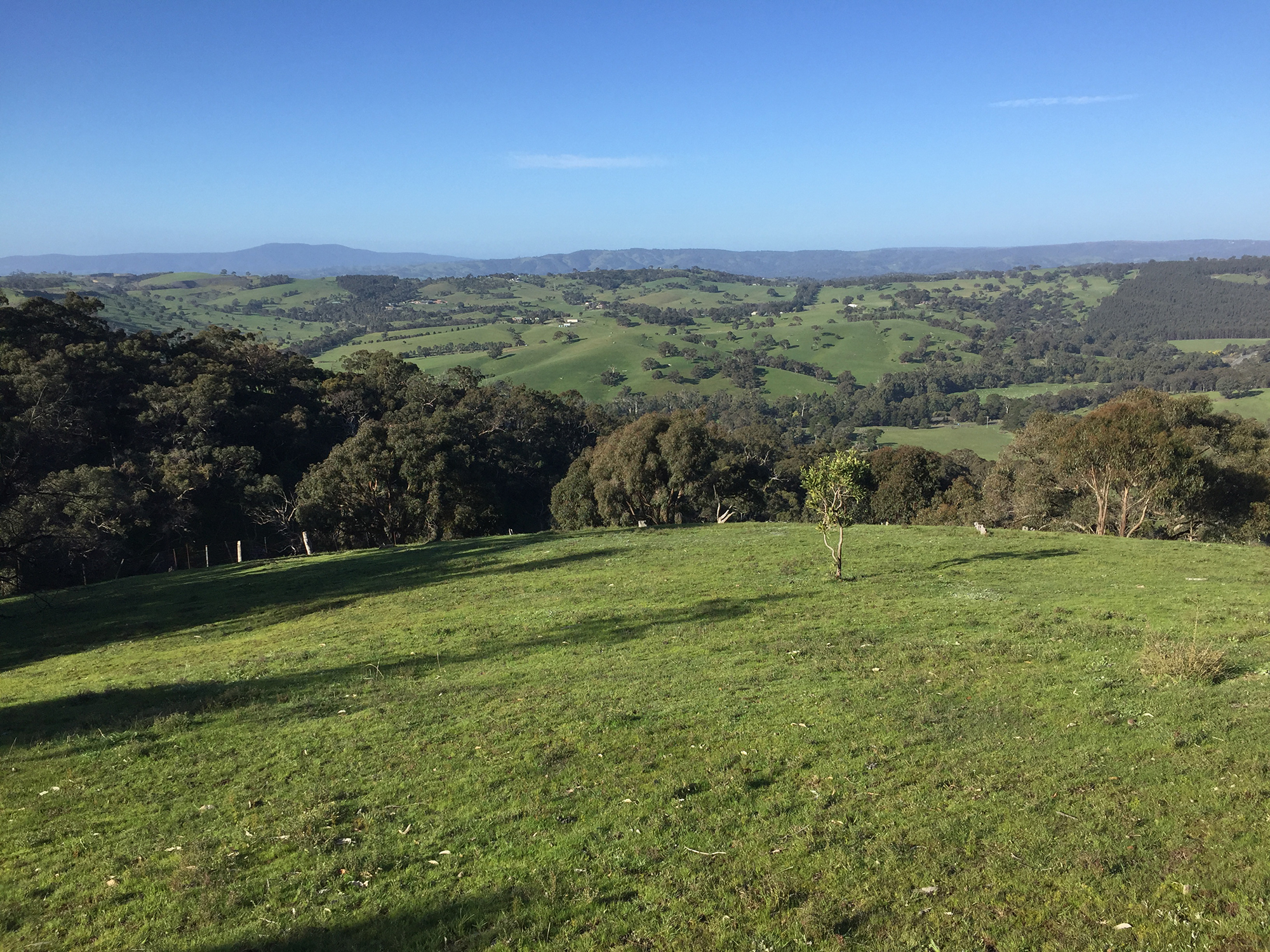 View from the Faith Office