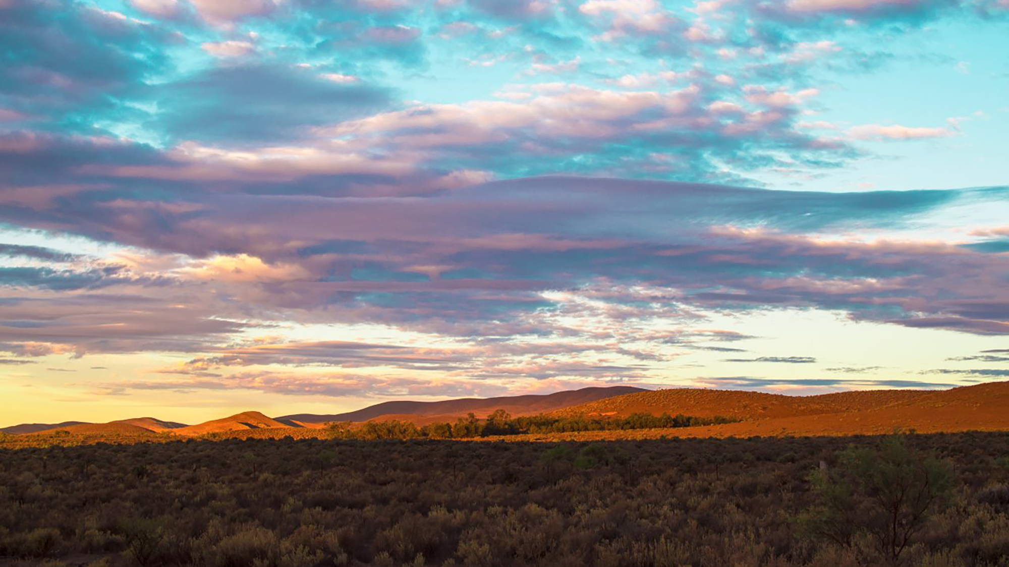 View From the Faith Office