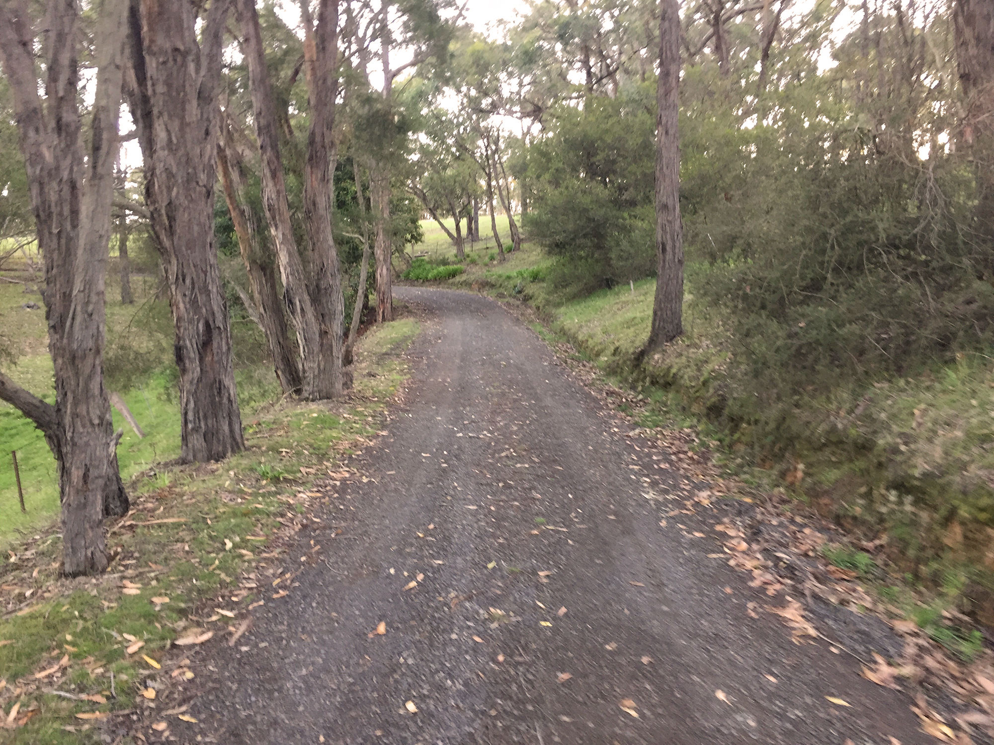 View From the Faith Office