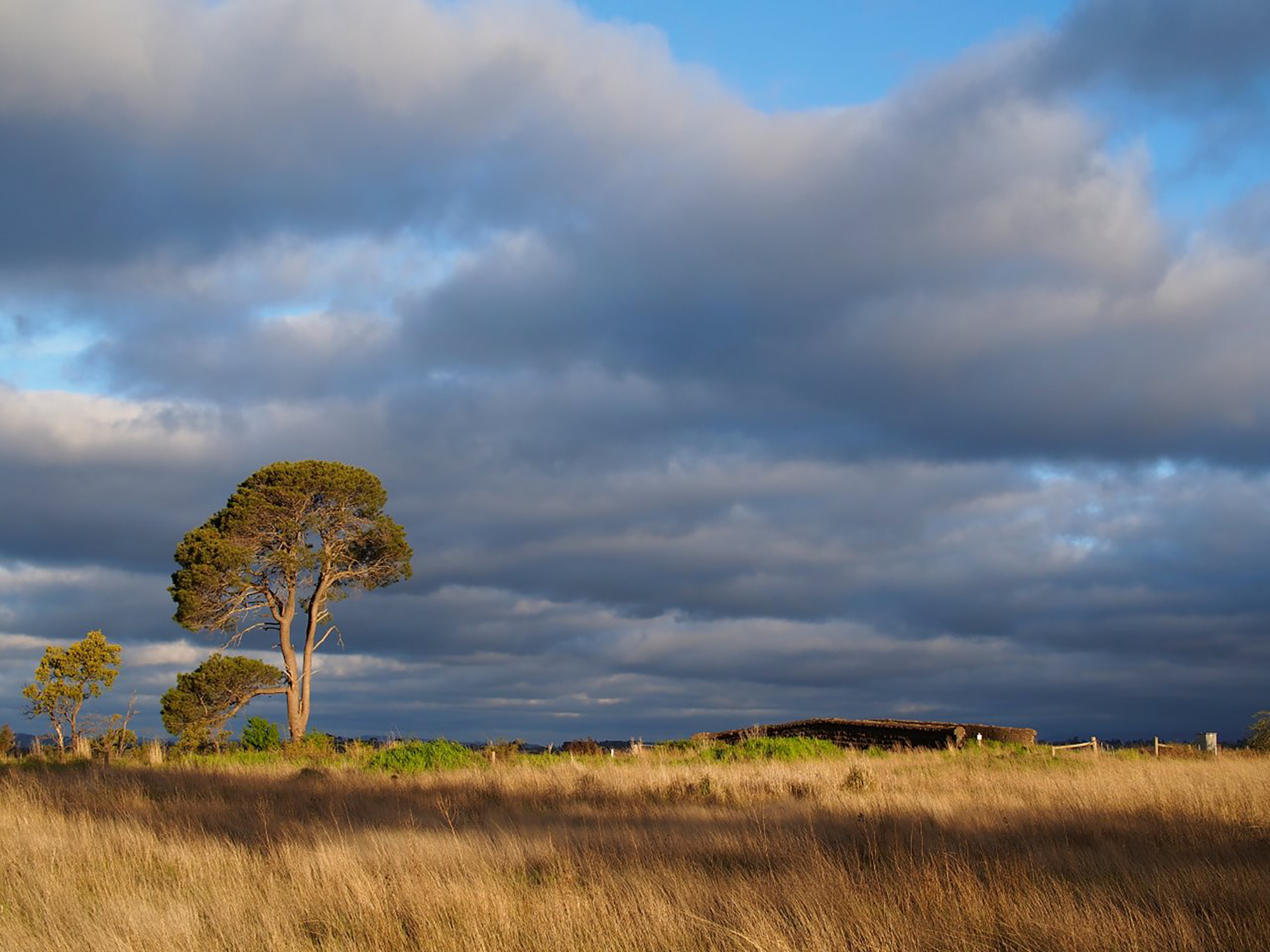 View From the Faith Office 