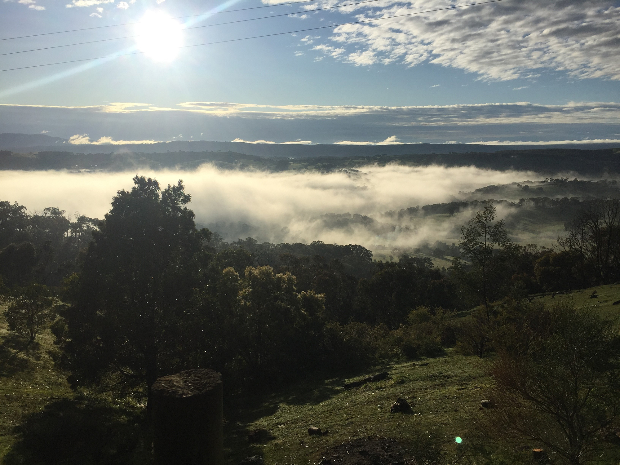 View From the Faith Office