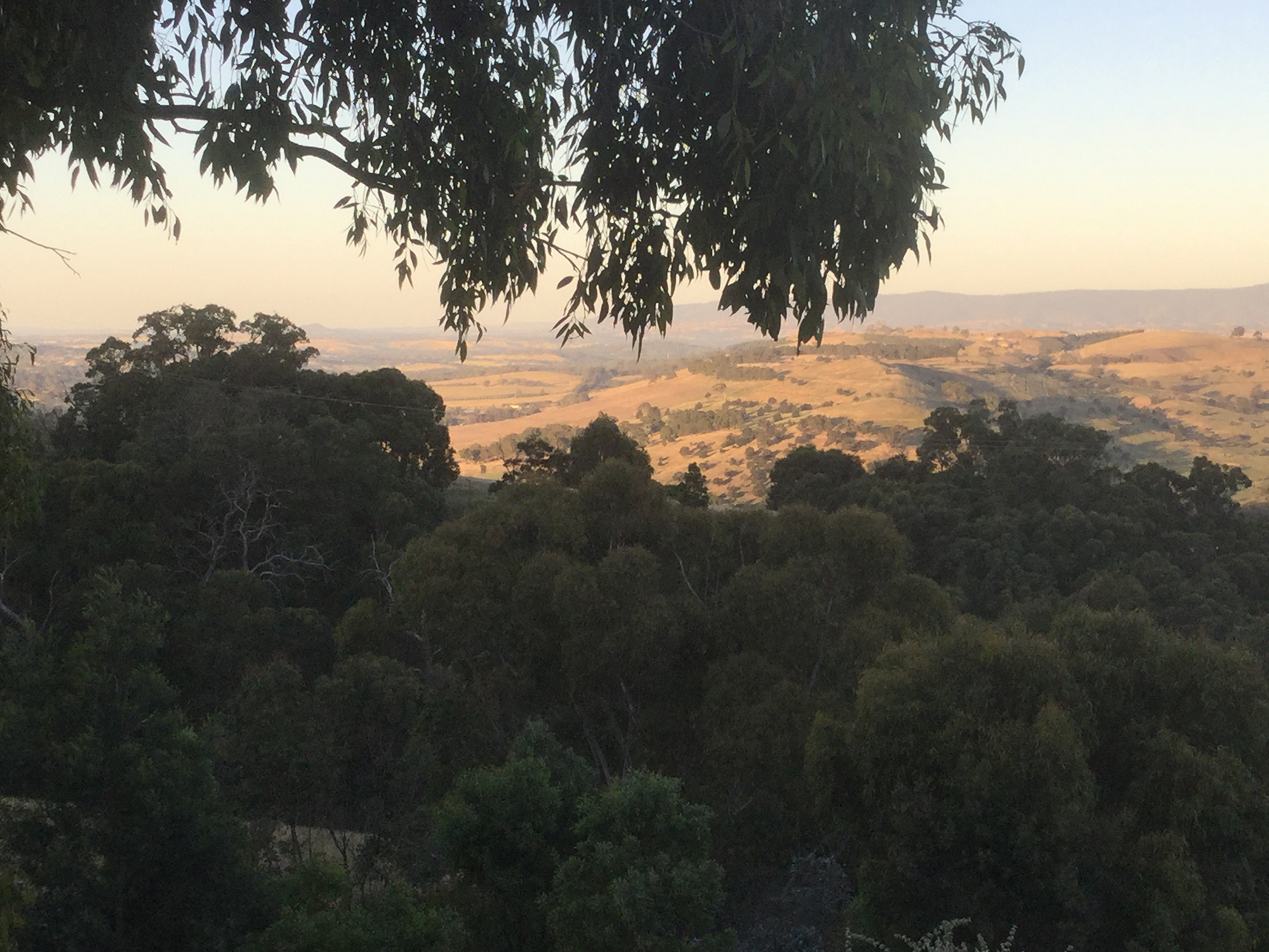 View From the Faith Office