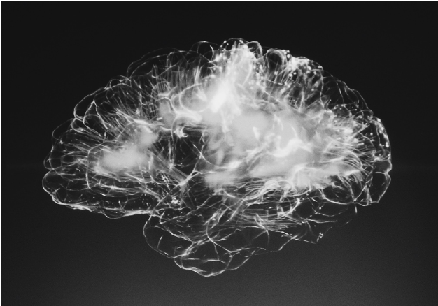 Malattie da prioni cause, diagnosi e potenziali terapie Mario Negri