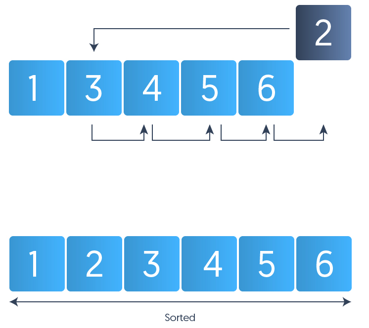 Insertion Sort Algorithm