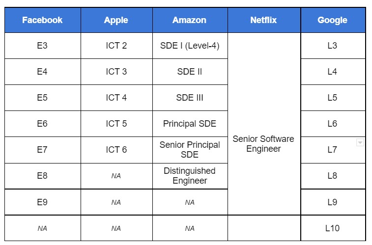 Different Software Engineering Levels in Big Tech Companies