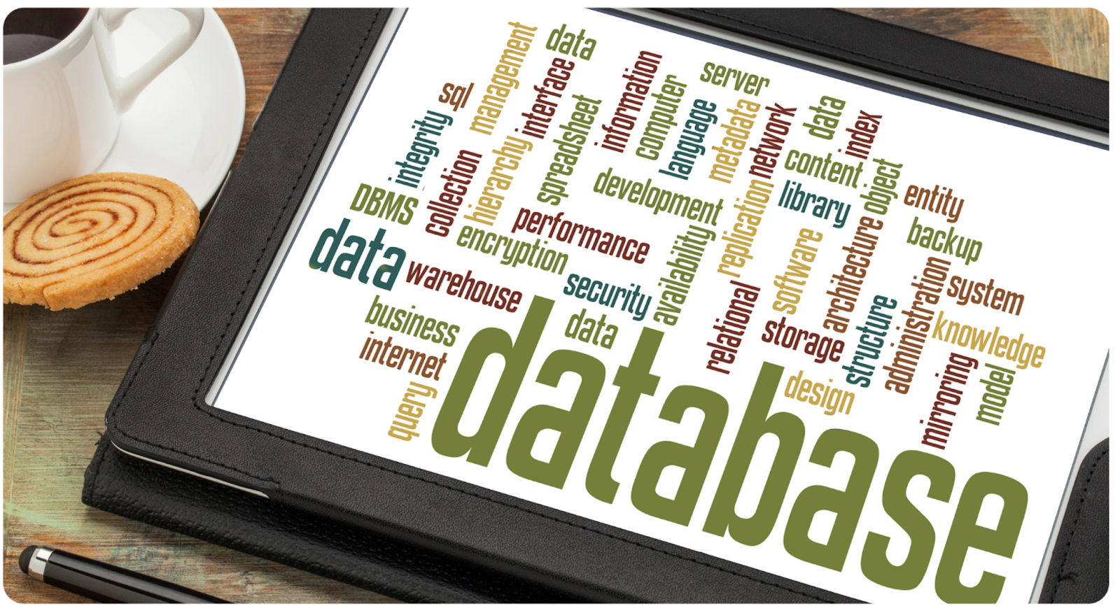 Database Basics for Building a Mobile App | Adalo Blog