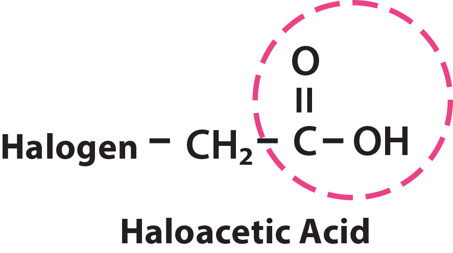 Water Science Basics | Introduction to Organic Chemistry