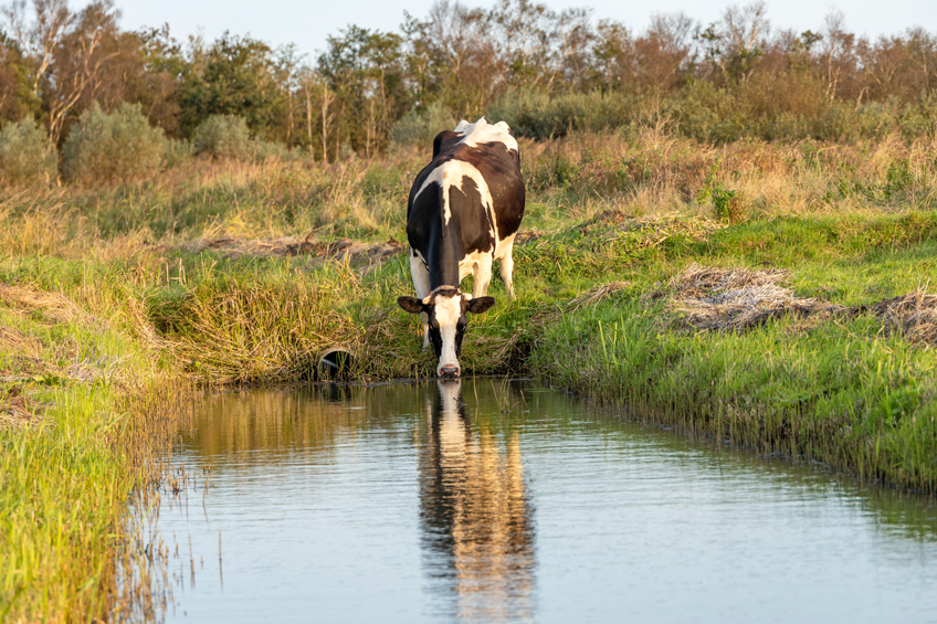Livestock and Agriculture Water Quality and Drinking Water and the Farmer