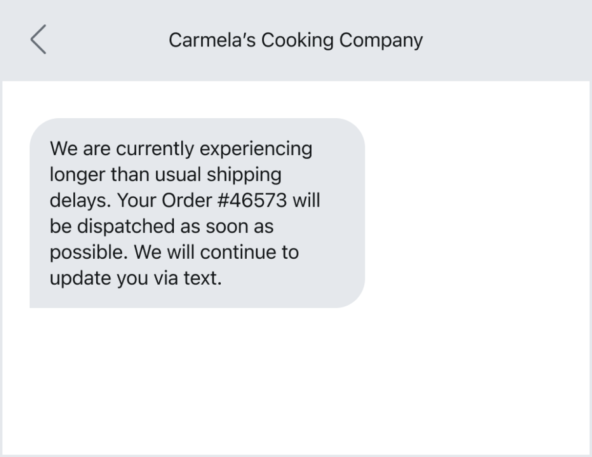 shipping delay text template
