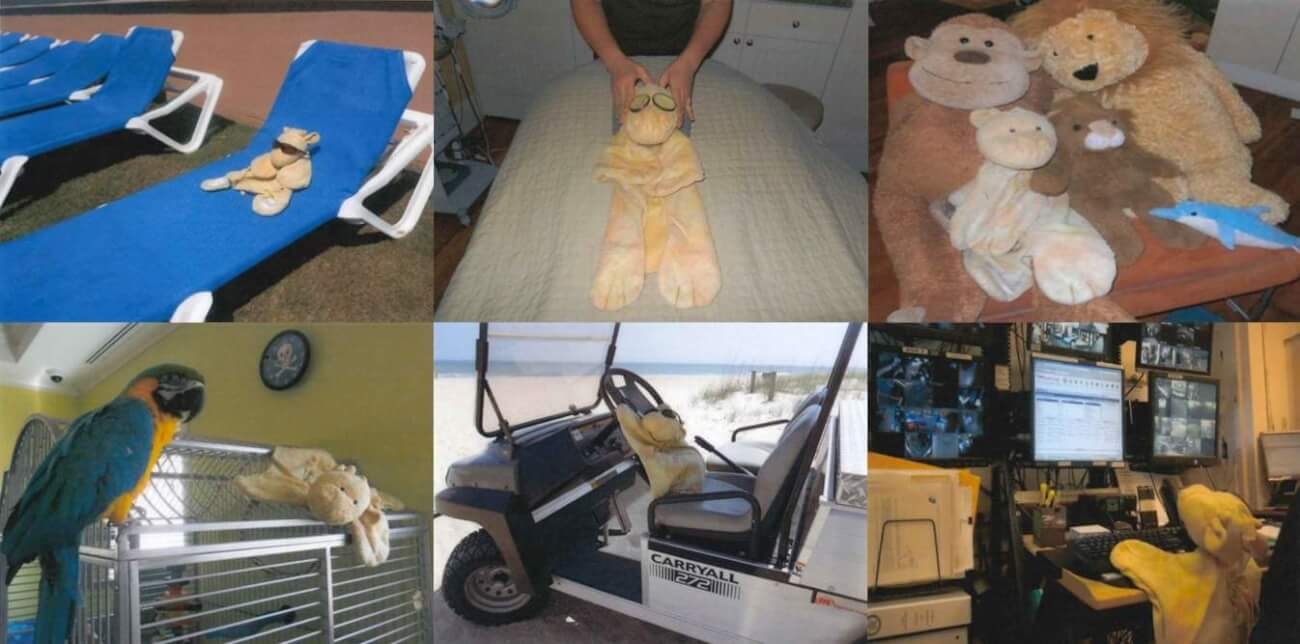 Photos of Joshie, the giraffe, on vacation