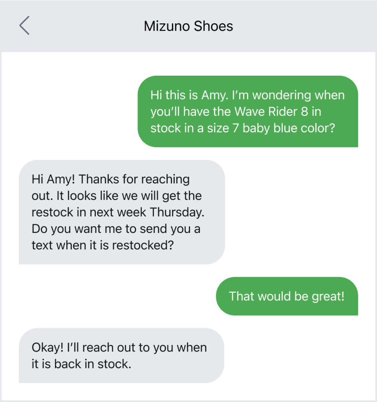 A rapid back-and-forth text conversation between Mizuno and a customer