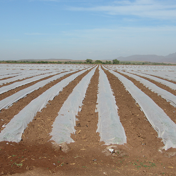 JMI Legacy Manufacturing J&M Industries, Inc.