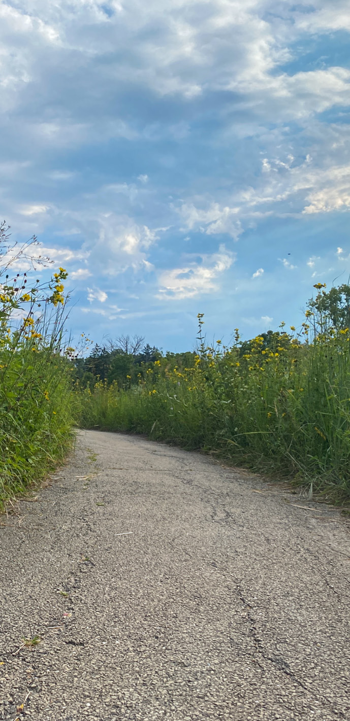 Home Schaumburg Park District