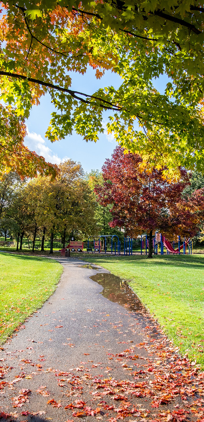 Home | Schaumburg Park District