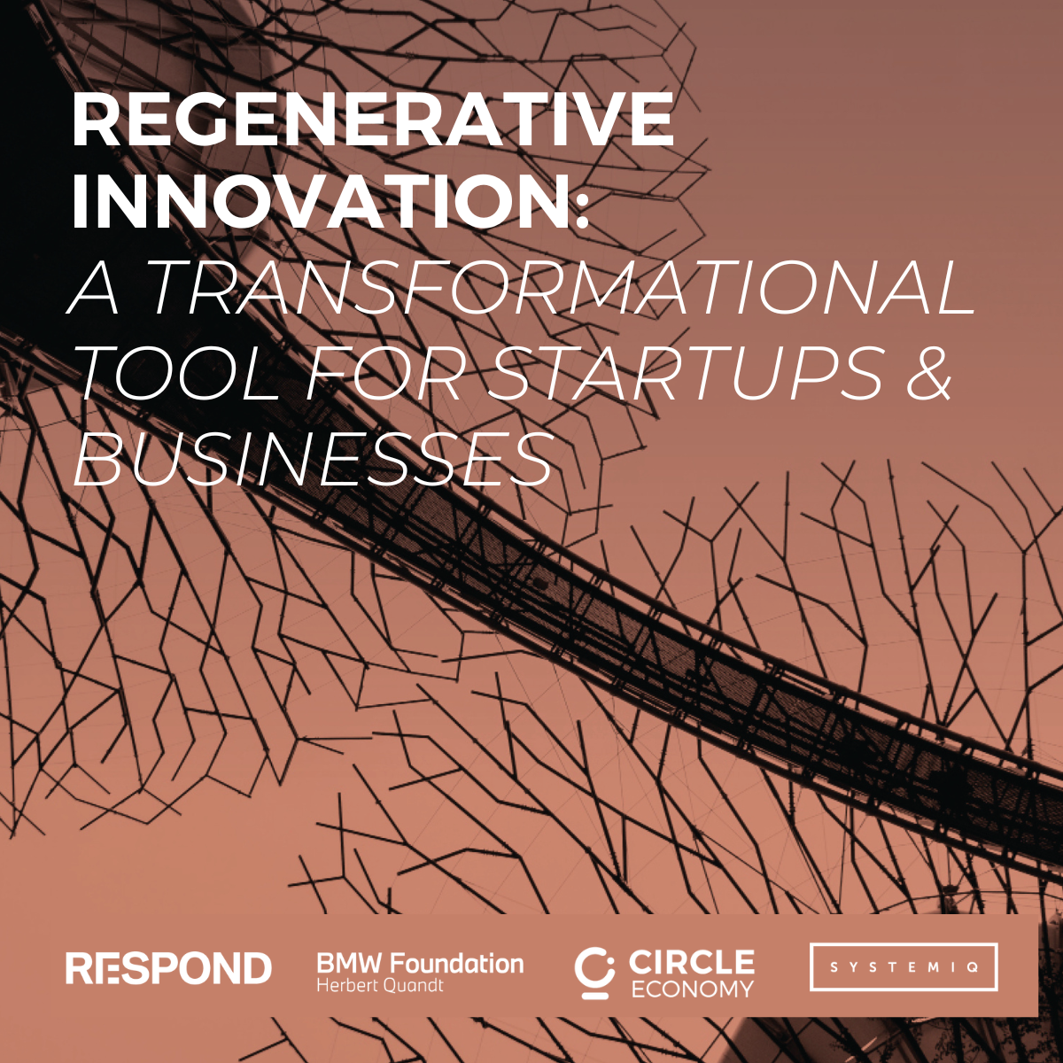 REGENERATIVE INNOVATION: A TRANSFORMATIONAL TOOL FOR STARTUPS ...