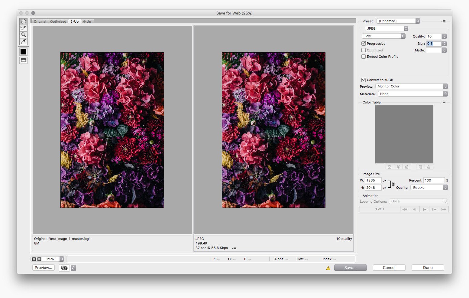 A screen shot of the Photoshops save for web function containing our image as it is being optimised