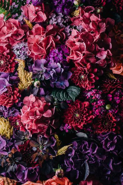 A large bouquet of red, pink, and purple flowers - Highly optimised image at viewed size (625px)