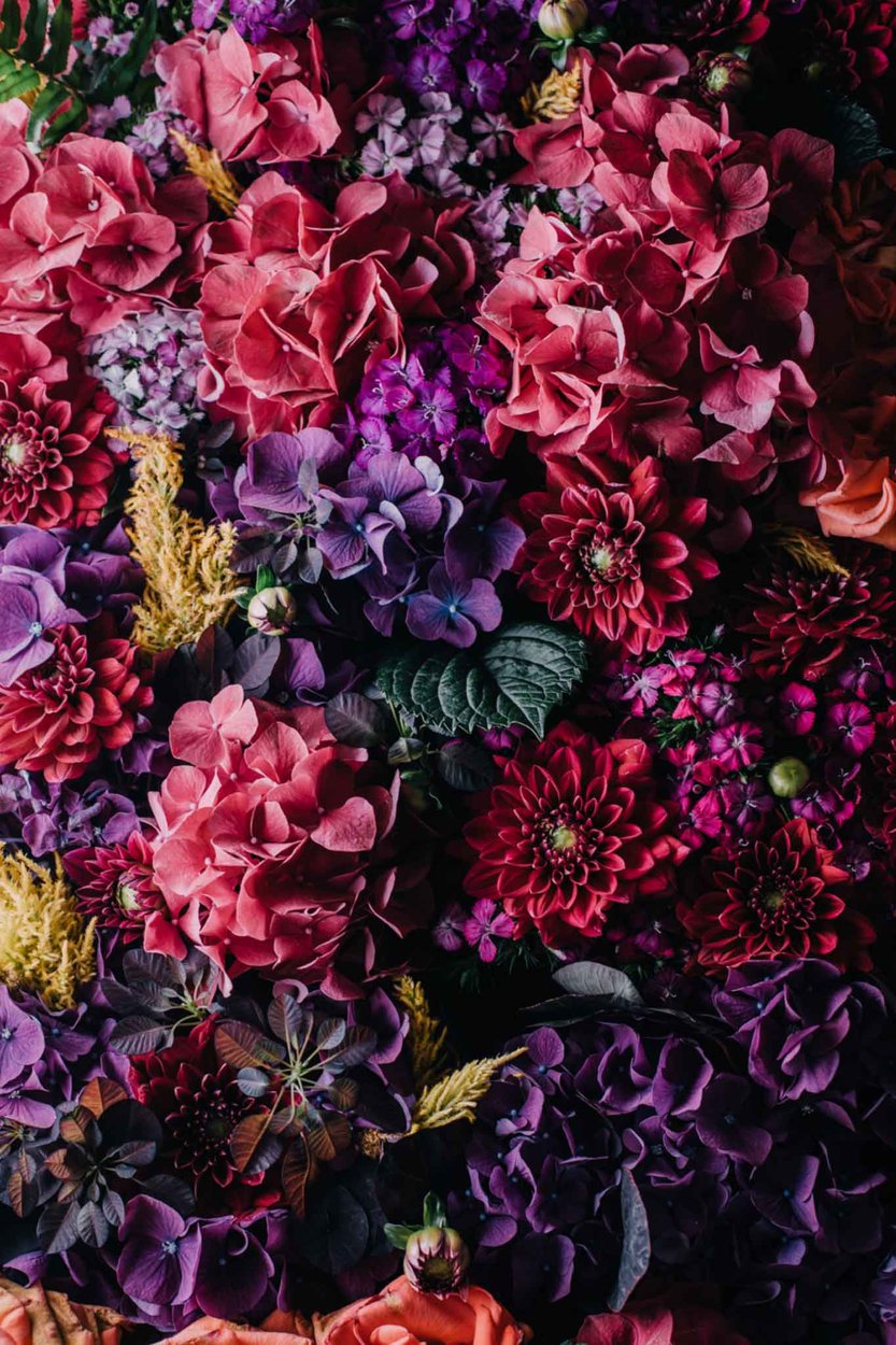 A large bouquet of red, pink, and purple flowers - Highly optimised image at double viewed size for retina screens (625px tall @2x)