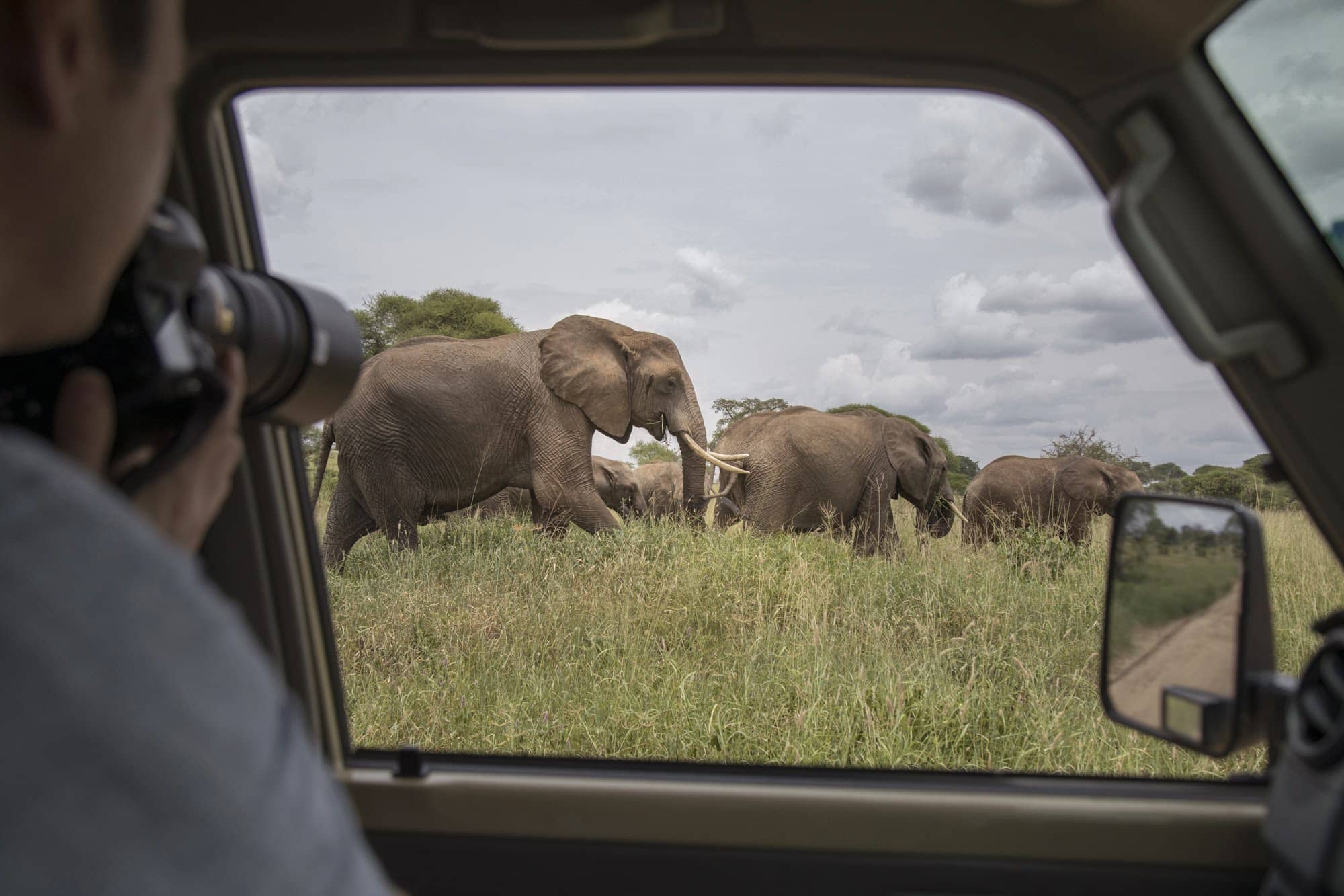 Safari Drive in Tanzania Safari Drive