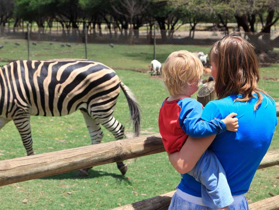 Mobile Apps for Zoos and Wildlife Attractions