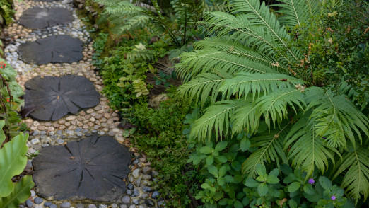 garden edging in landscaping