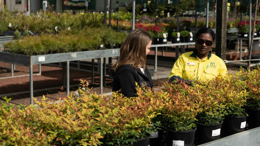 staff specialising in mulch