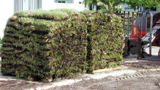 lawn turf delivery