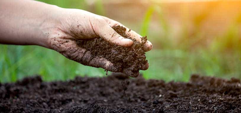 How to prepare soil for new turf