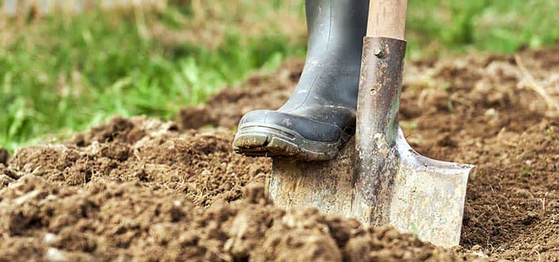 gardening spade