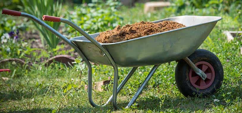 garden wheelbarrow