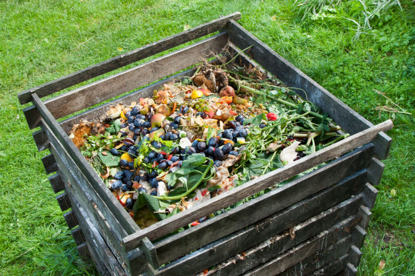 compost pile in yard