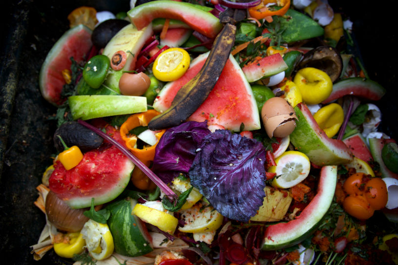 compost materials