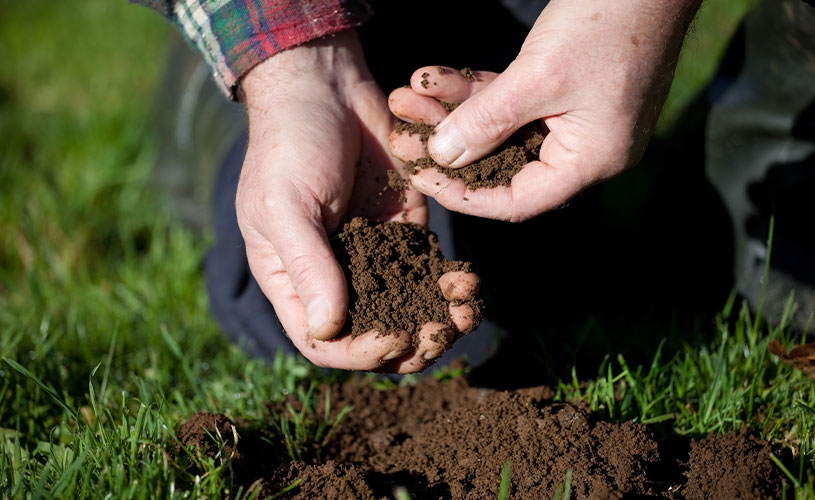 farmer testing soil