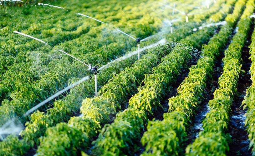 farm irrigation system