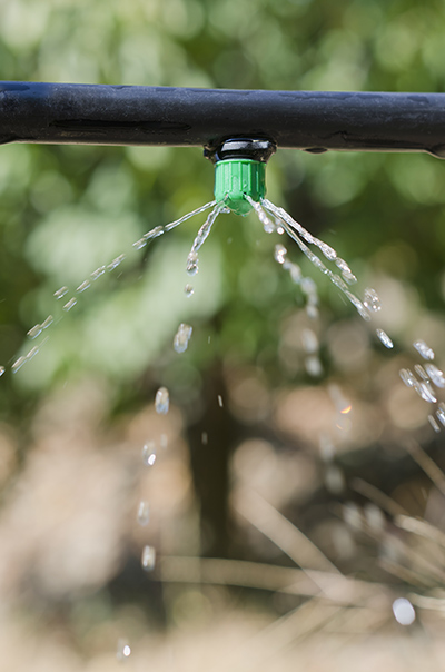 drip method irrigation