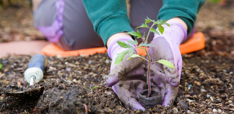 better soil