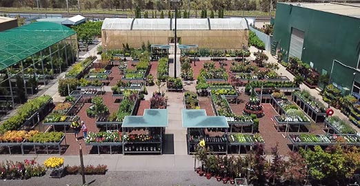 Cabin log tongue epping groove ft Wholesale Nursery Melbourne | Wholesale Plants & Trees | All Green