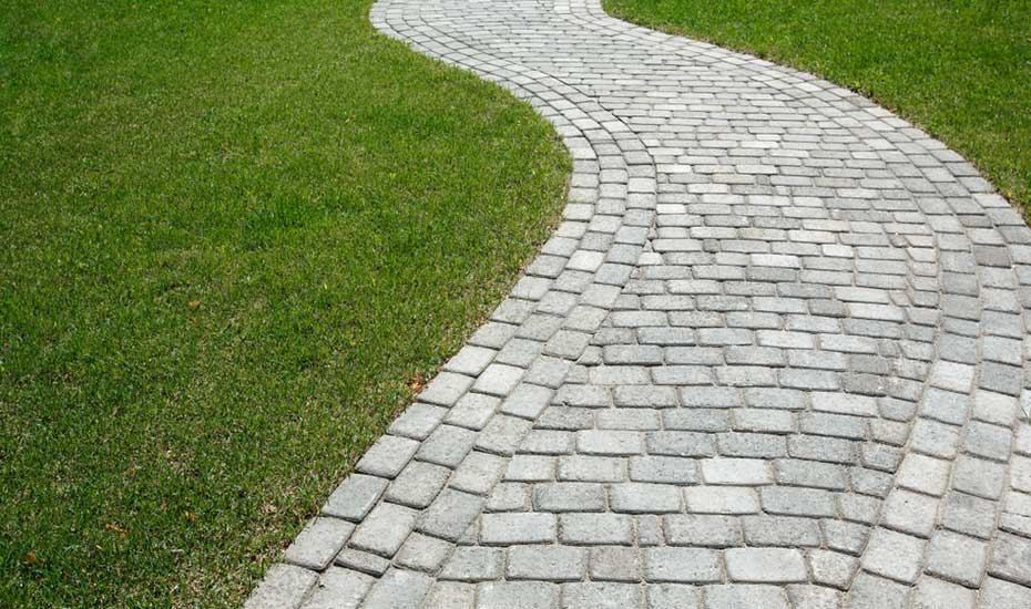 The best grass for pavers