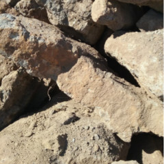 [Pebbles, Rocks and Gravel] Large garden rocks