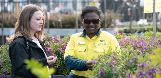 Advice from All Green team member