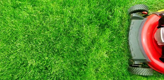 Lawn mower cutting healthy grass