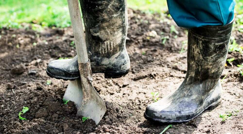 Understanding Melbourne's Unique Soil Content Knowing Soil Types