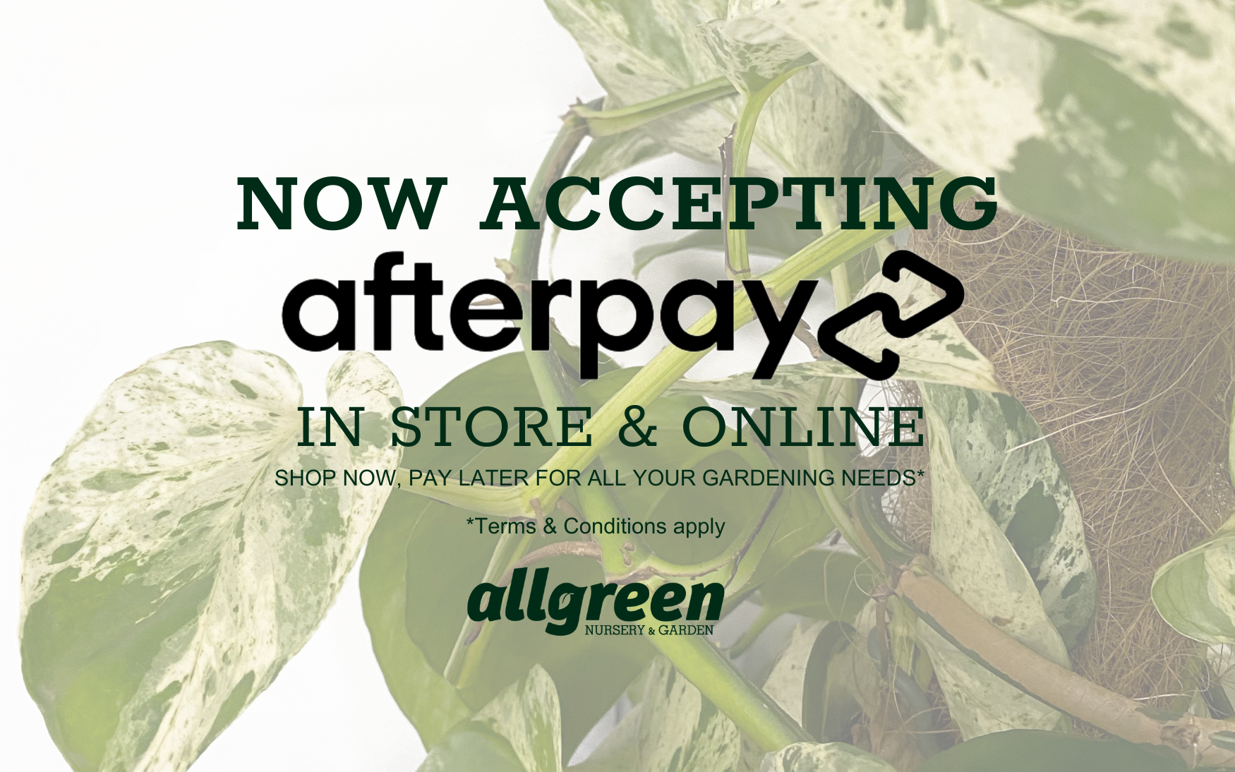 Afterpay Now Available!