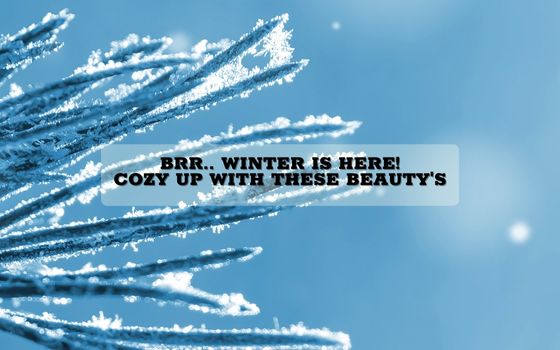 Brr.. Winter is here! cozy up with these beauty's.