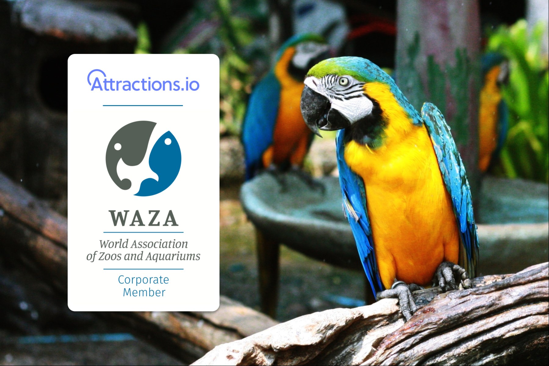 Attractions.io joins the World Association of Zoos and Aquariums — Attractions.io Blog