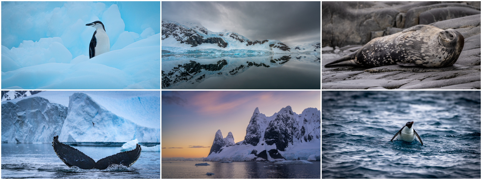 Antarctica 2025 Landscape & Wildlife Photography Tour