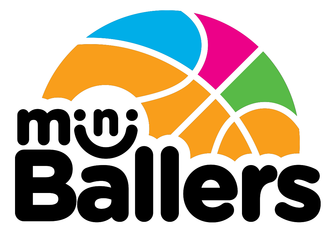 Verification Program