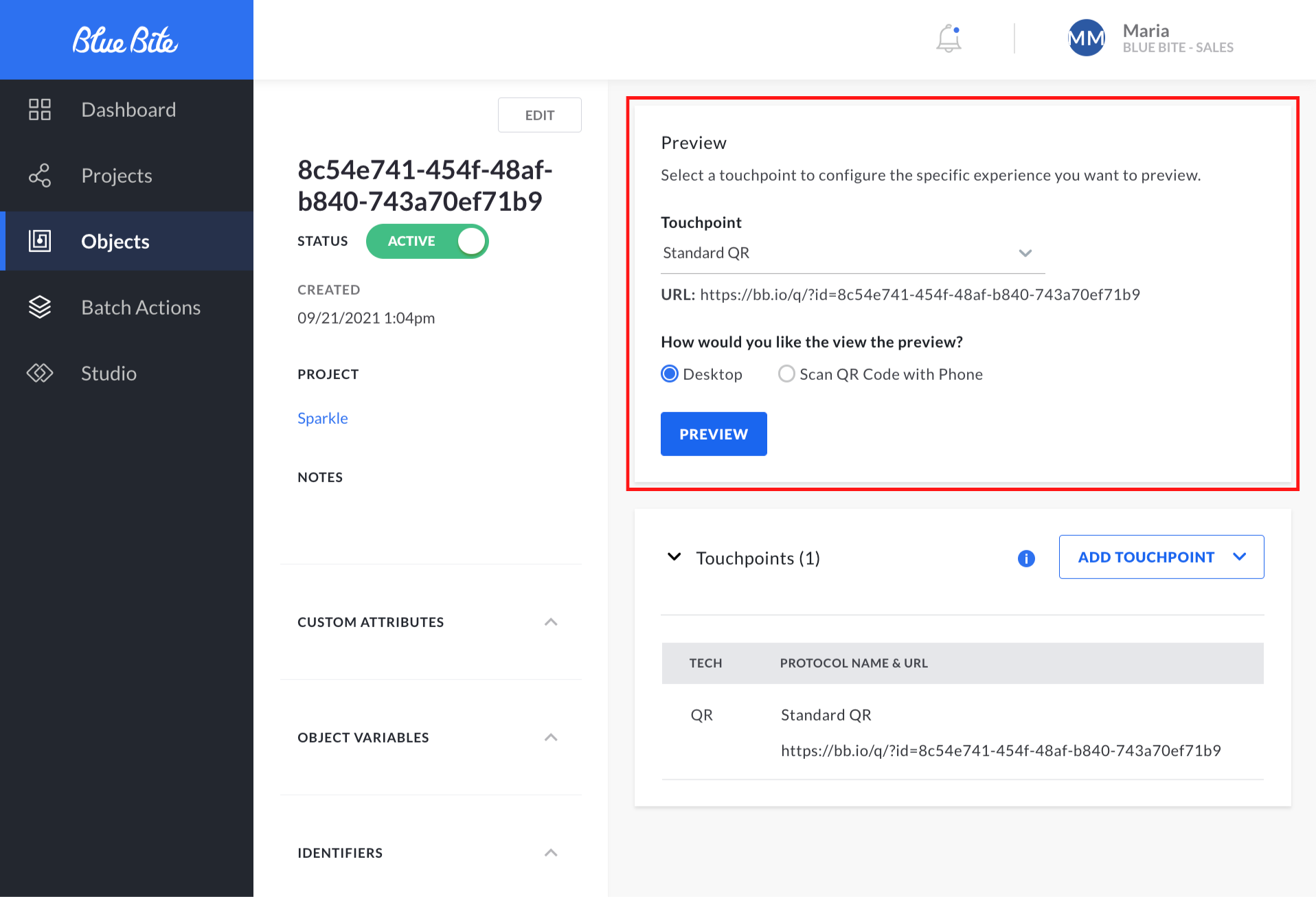 V3 Object Manager Overview