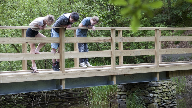 pooh sticks game take a challenge