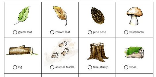 printable scavenger hunts take a challenge